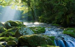 Dégustation d'eau plate