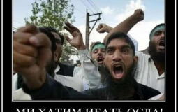 ипателиосла