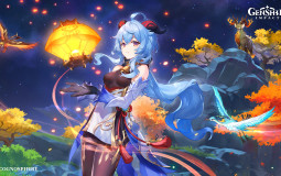 Genshin Impact (anything you choose from)