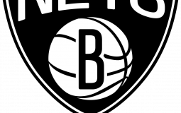 net players by level