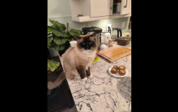 books I read in 2022