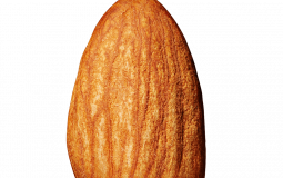 1D but Pokemon trainers