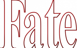 Top 30 Characters of Anime Fate Series (Personal Thoughts)