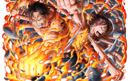 OPTC TM