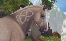 star stable