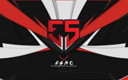 League of Legends Nc team