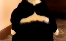 Hokages weakest to strognest