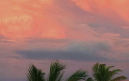 men I would risk it for