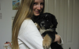 Reptiles i could find outside