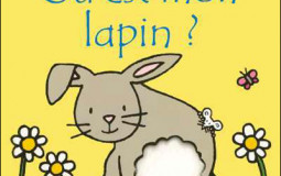 Où est mon lapin tiers list