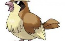 Pidgey best
