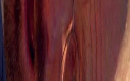 WHO I WOULD LET RAIL/PEG ME