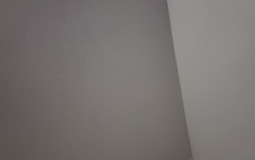 Annoying people at school