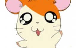 Hamtaro Ham-Hams