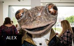 Seal Degeneracy Tierlist