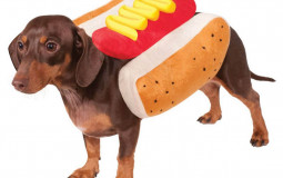 my characters ranked