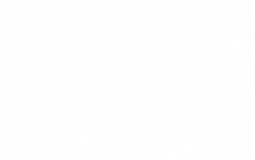 TMWT Stage 2 Discovery Streams