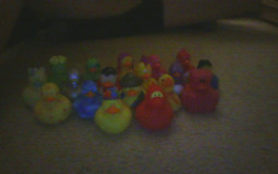 rubber duck show contestants