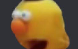 which bob best