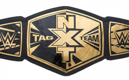 WWE Tag Team Champions