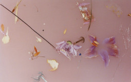 i tier rank my 2022 books