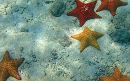 LOVE ISLAND CAST #SLAY