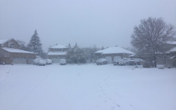 Mods I could Beat in A Fight