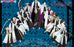 Bleach Captains