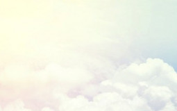 games coral have played