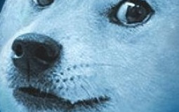 Discord Autism Spectrum