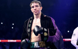 Irish Boxers