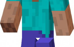 VSD Lærer 2