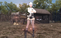Vindictus Female Beauty Contest