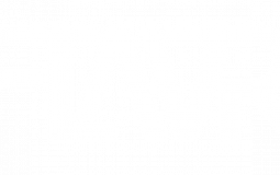 FlaVR Activity