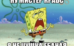 qweqwewqewqewqewqesogduhgusdhgudsajfdsajf[oisdajf