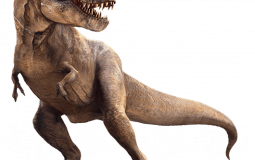 T-Rex design tier list