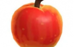 Fruit (ANCH)