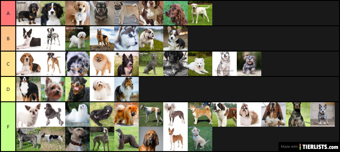 Dog Breeds