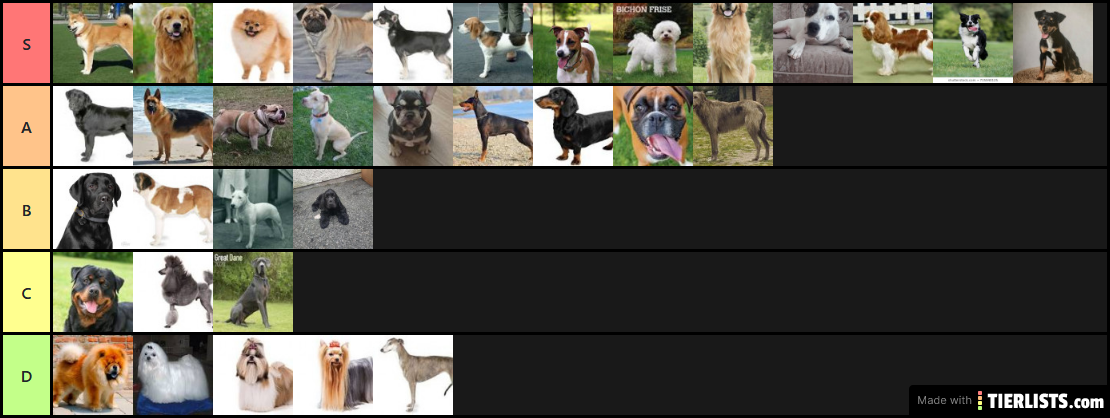 dog rating