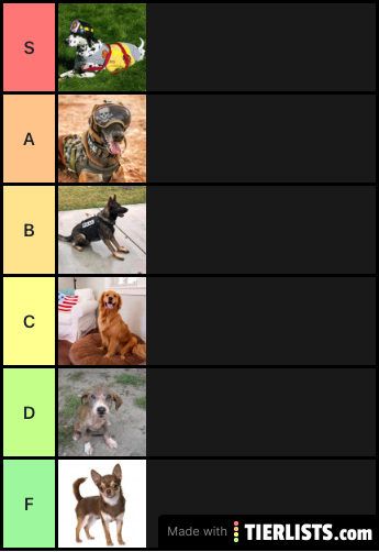 dog tier list