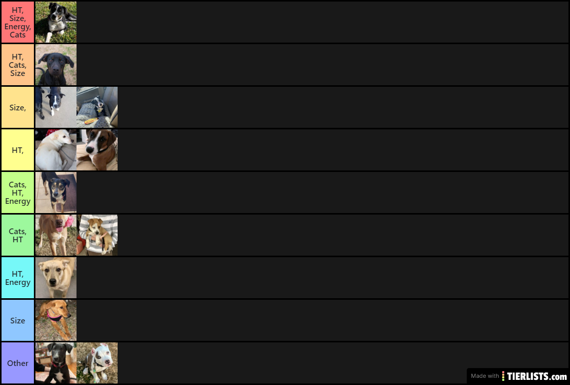 dogd