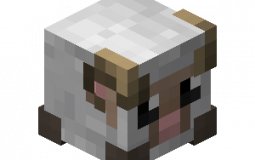 Hypixel Skyblock Pets