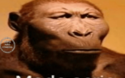 Figurinhas esquisofrenicas