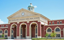 Los cursos y profesores