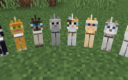 minecraft cats