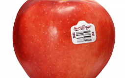 Best Snacking Apples