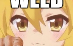 Manga de Con