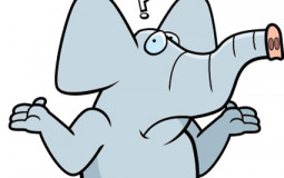 Freshman 2021-2022 Teacher Rank