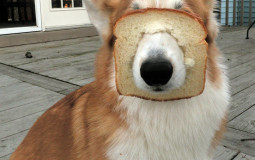 POPULAR ANIME TIERLIST