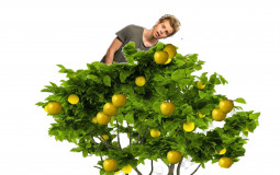 part 1 w dan and gabs